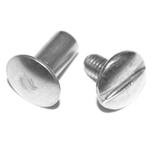 45mm Chicago Screws Stainless Steel (Pkt 100) - Click Image to Close